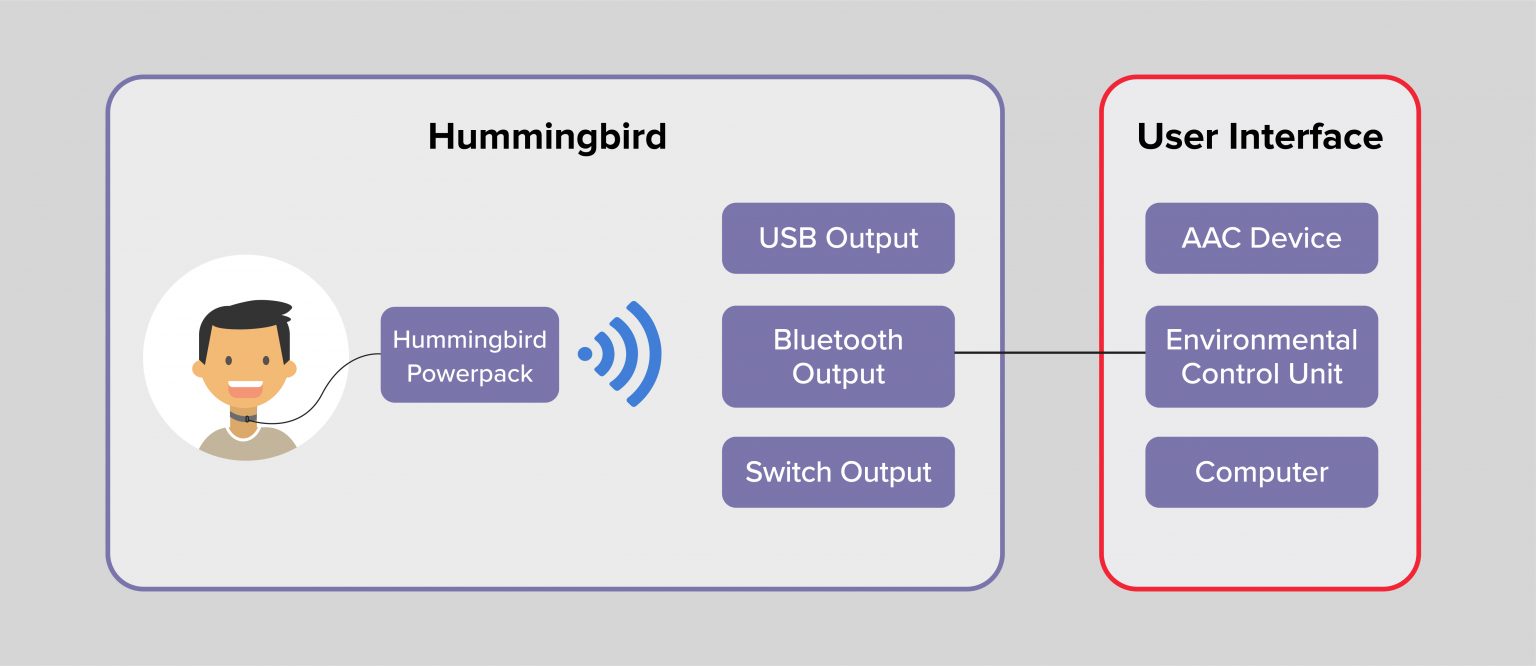 "Diagram representing how the Hummingbird works"