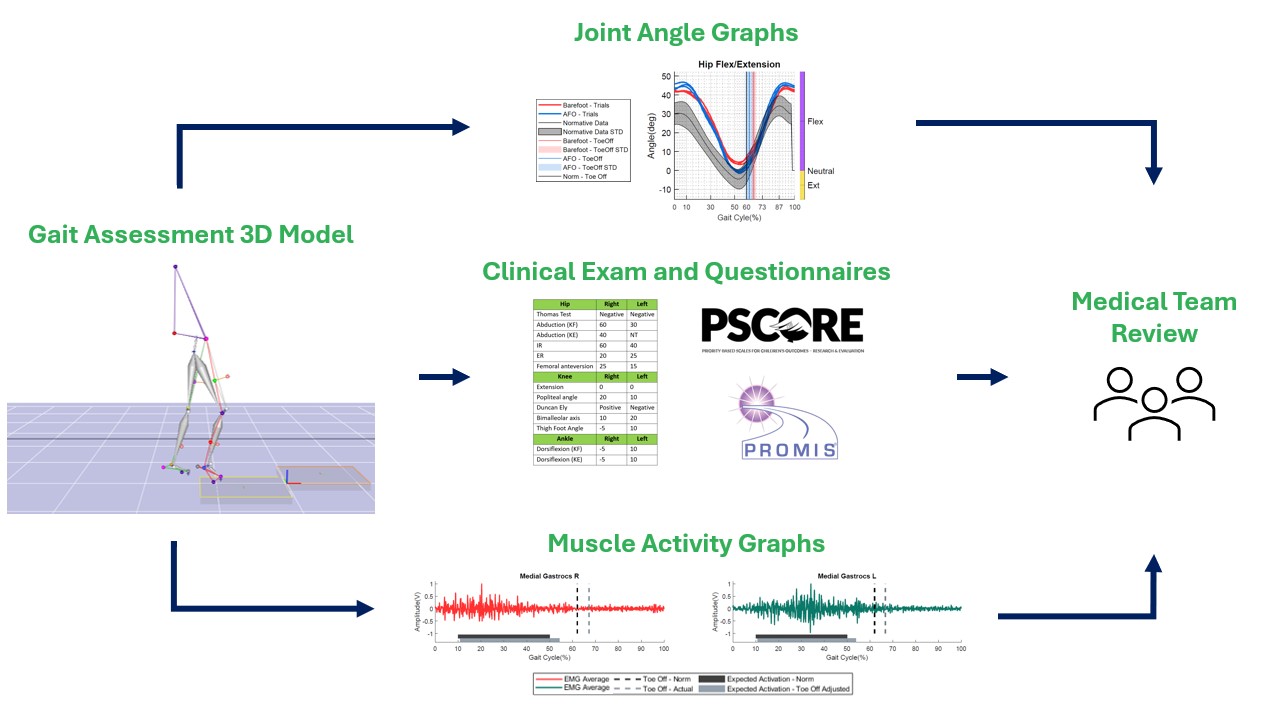 Image of pipeline of taking data from 3D gait assessment converting it to muscle activity graphs, joint angle graphs, and clinical exam summaries, to then be presented to the medical team