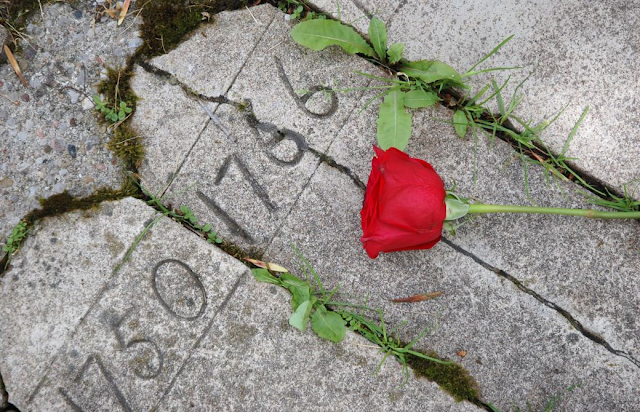 Gravestones with patient numbers