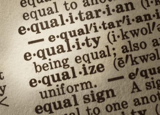 Dictionary description of word equality