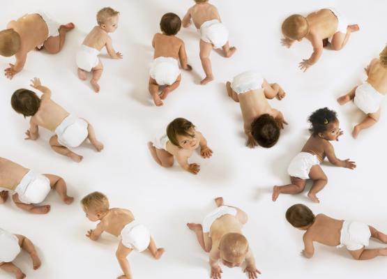 Babies in diapers on the floor crawling around