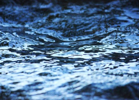 Like gender, ability is more fluid than we think