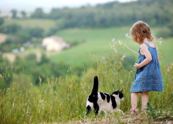 Early autism therapy saves taxpayers money, study finds