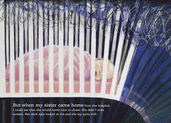 New book explores sibling emotions about disability