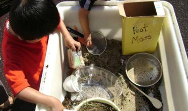 Children playing in a sensory bin with sand and planting materials