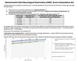 HINE Scoring Aid Version 3 snapshot