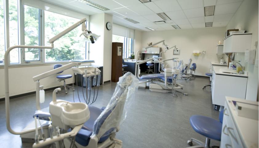 Open views of the ravine from the examination areas and surgery suites