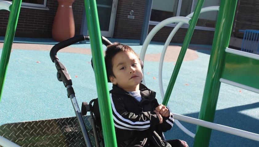 Child in wheelchair swing