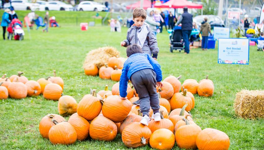 pumpkin patch