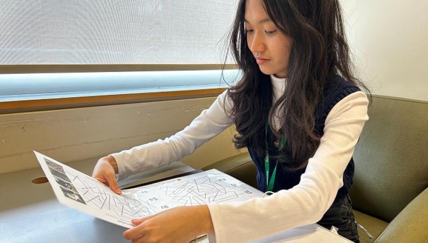 Denica organizing vision binder