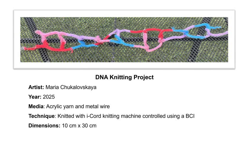 A model of a DNA molecule knitted by Maria Chukalovskaya in 2025. It is 10 cm by 30 cm. It was created using pink, purple, blue, and red yarn with metal wire. It was knitted using an adapted knitting machine controlled by a BCI.