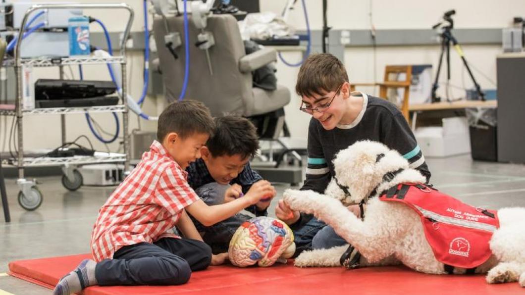 Three children looking at a model of a brain. A service dog's paw is also touching the brain.