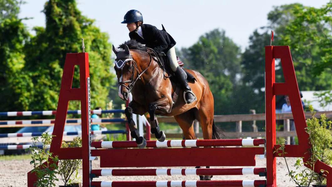 Girl on bay horse jumping over a red and white jump