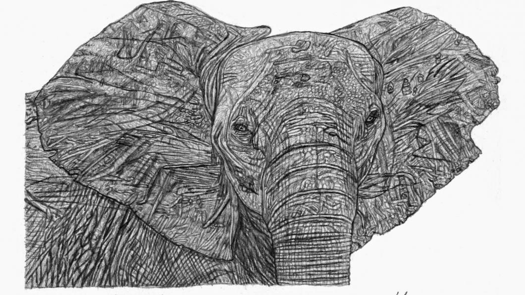 Illustration of an elephant