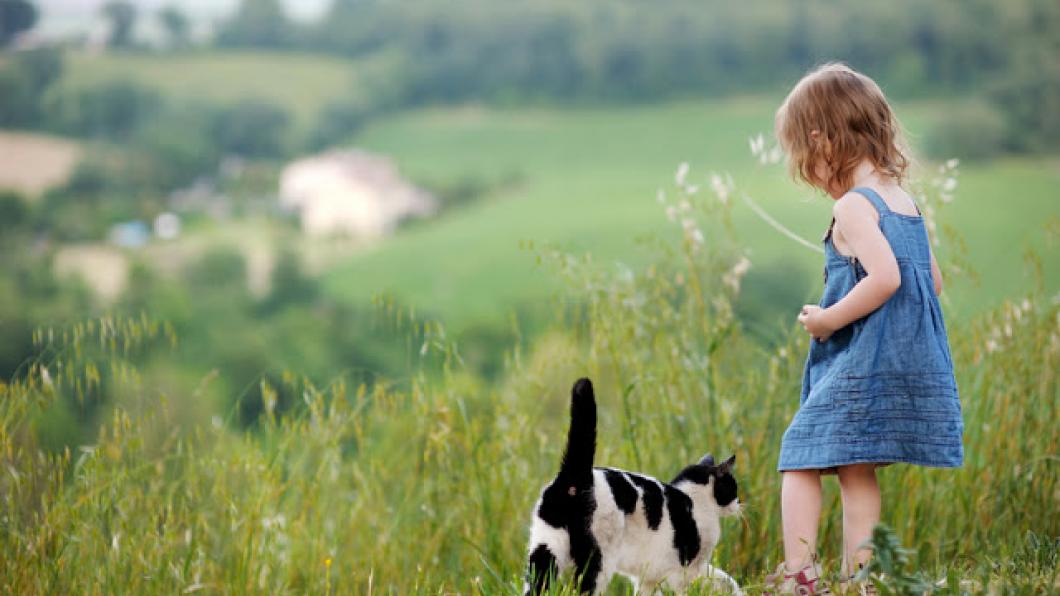 Early autism therapy saves taxpayers money, study finds