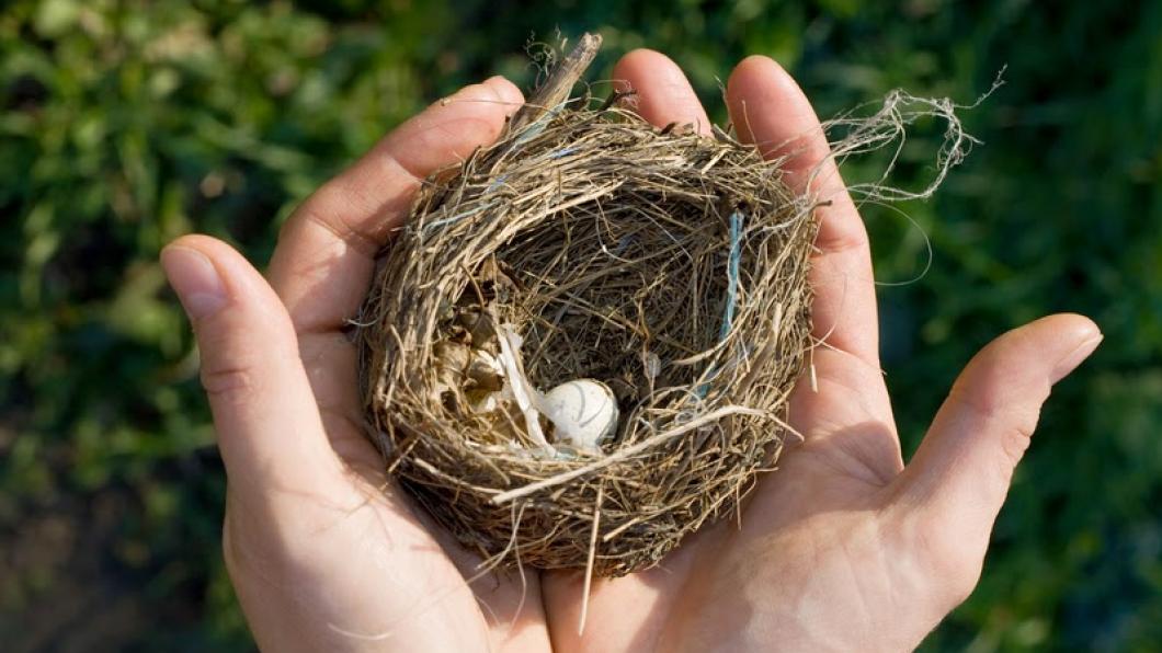 For some parents, the 'empty nest' is a fiction