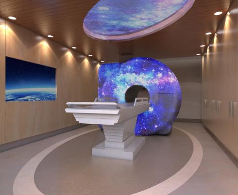 Rendering of the MRI
