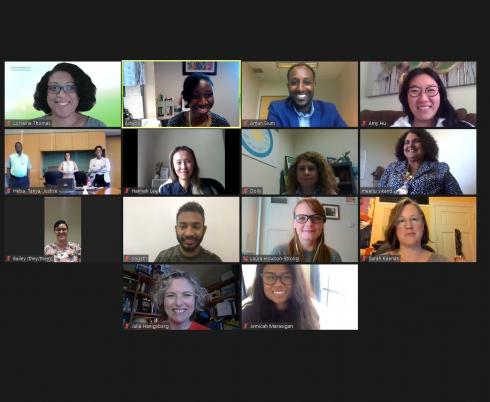 members of the IDEA Taskforce on Zoom